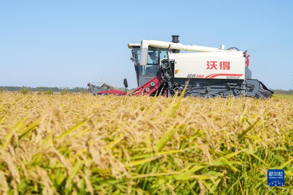 新二网皇冠手机网址